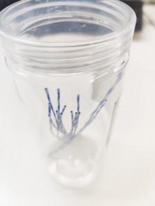 PTFE Zebra Guidewire