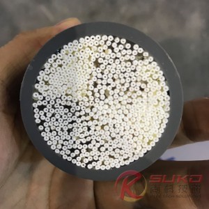ePTFE Hollow Tube