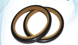 PTFE Piston Seals and Rod Seals